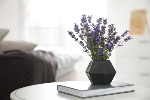 Benefits Of Having Indoor Plants In Bedrooms